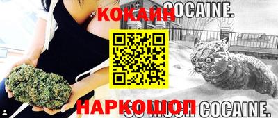 крисы Аргун