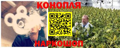 крисы Аргун