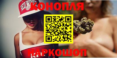 крисы Аргун