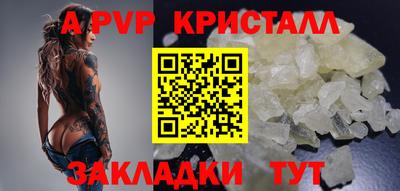 крисы Аргун