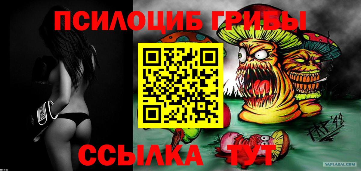 Галлюциногенные грибы Psilocybine cubensis  Псилоцибиновые грибы Psilocybe  Сыктывкар  Вход с VPN 