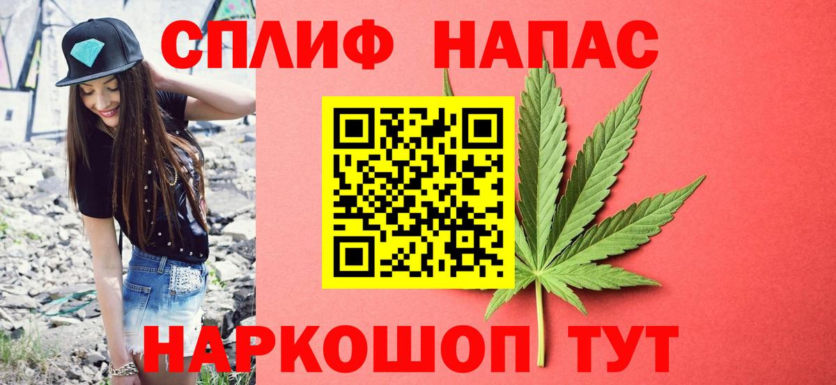 Бошки Шишки планчик Сыктывкар